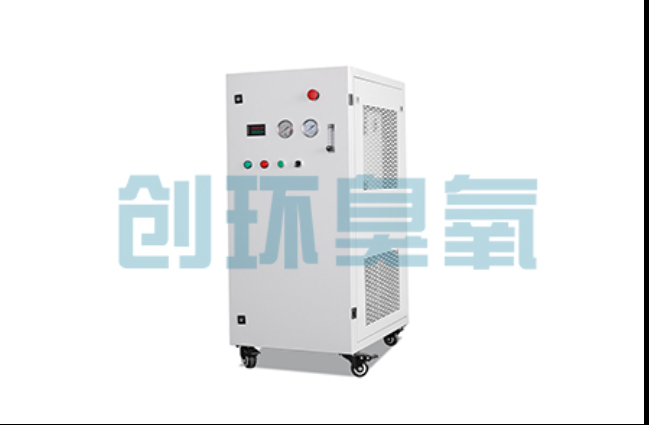 兴隆工厂化养鲈必看:2026年臭氧发生器替代传统消毒的最新方案