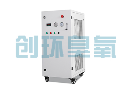 兴隆石斑鱼养殖水质调控完整指南：臭氧发生器配置与操作步骤