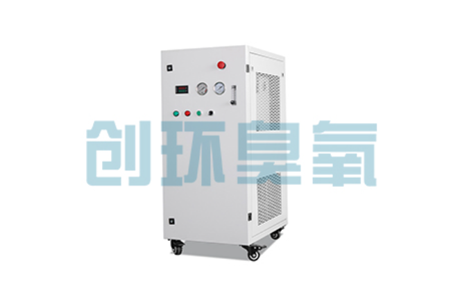 兴隆比传统换水更高效？臭氧发生器在石斑鱼养殖中的水质净化原理解析