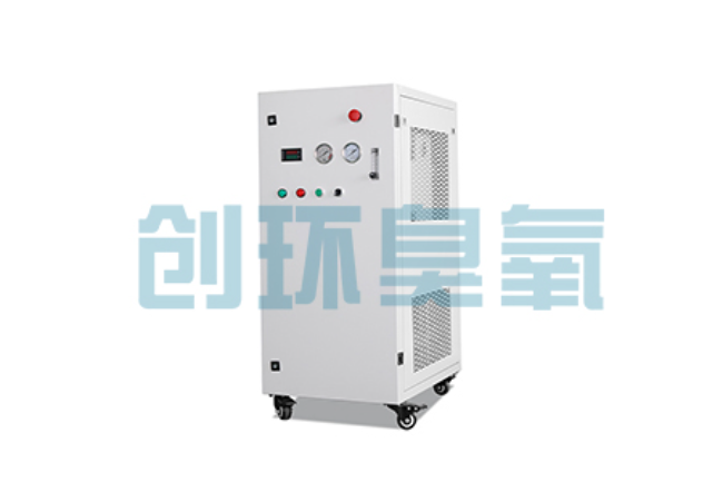 兴隆比传统换水更高效?臭氧发生器在石斑鱼养殖中的水质净化原理解析
